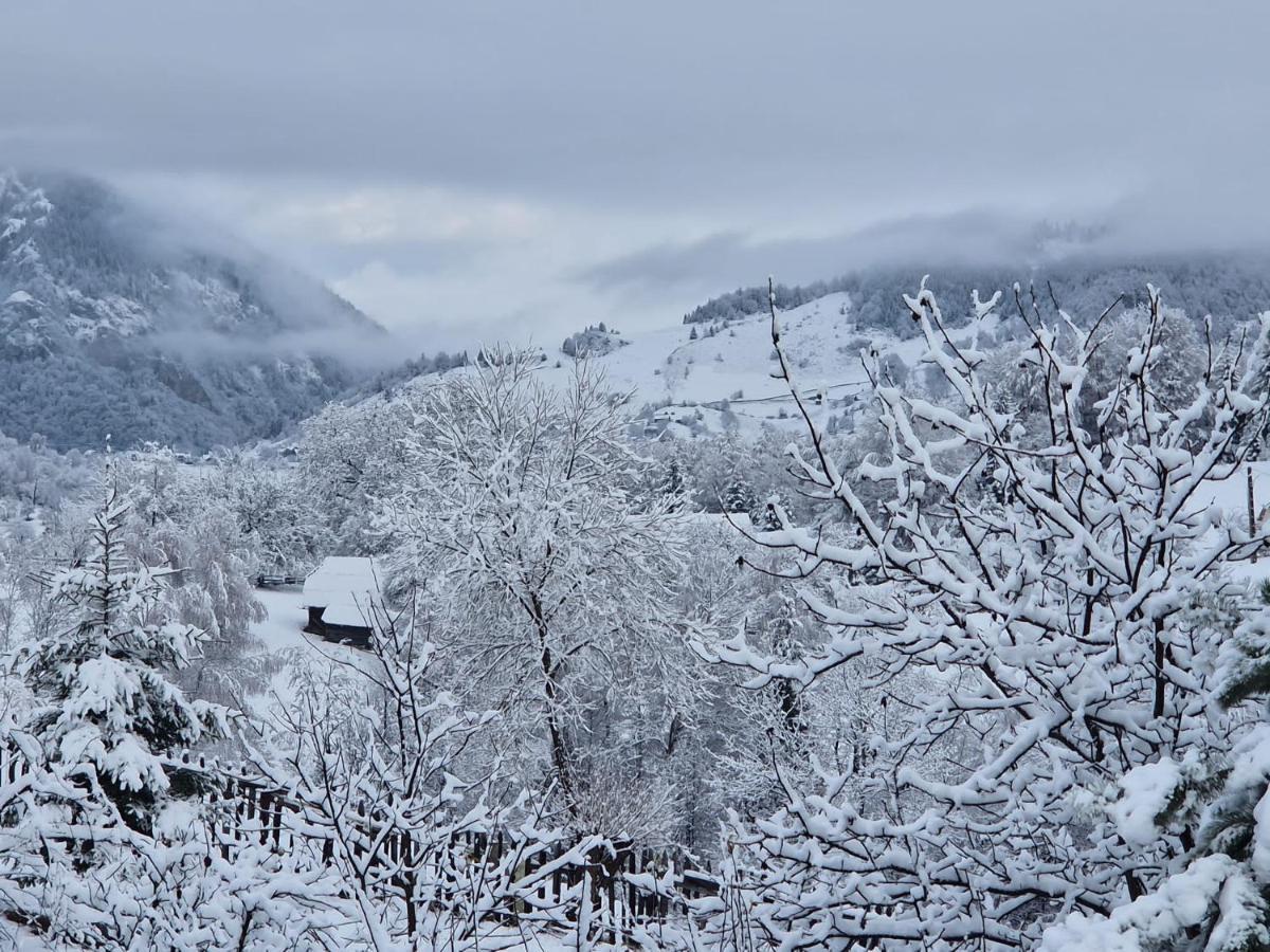 Transylvanian Views Peştera