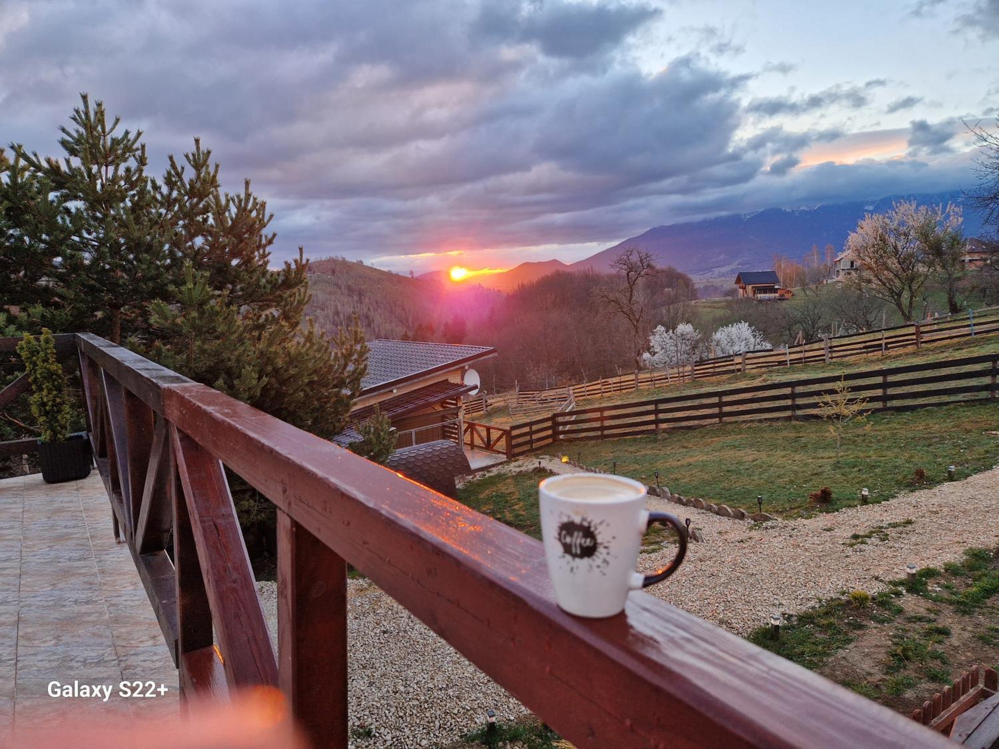 Lodge Transylvanian Views *